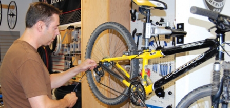 Focus On Bikes At Action Cyclery